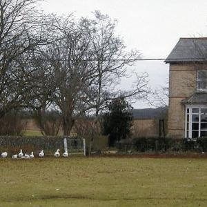 2000 Trinity Hall Farmhouse small side field096