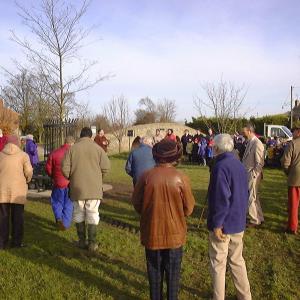 2000 Village Green Millennium Oak