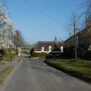 2001 BRIDGE ST BLOSSOM 2