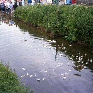 2001 Car Bridge cork race start slow start082