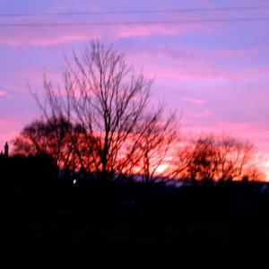 2001 WINTER SUNSET 2