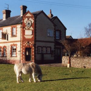 2001 spring Kings Head pony083