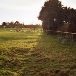 2003 Spring French Hall meadow from Brookside221