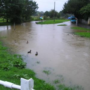 2007 From the Car Bridge