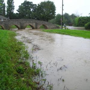 2007 From the Village Green 2
