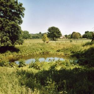 2007 June The Street French Hall pond291