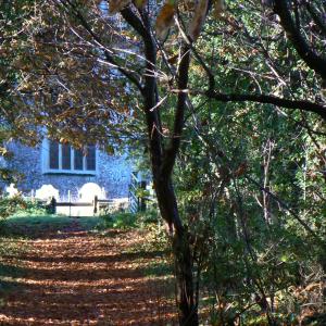 2007 Plantation Footpath 027