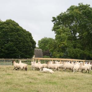 2008 17th Aug French Hall Meadow W.I. visit 16