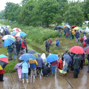2008 25th May Cork race Packhorse Bridge finish