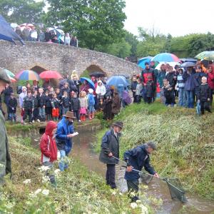 2008 25th May Cork race the winner Mrs Rose.