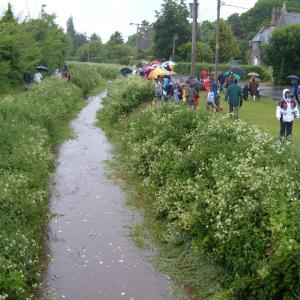 2008 25th May Cork race under way