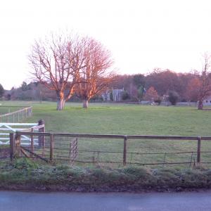 2008 Dec French Hall Meadow morning sunshine
