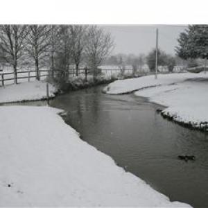 2008 March Church Ford 2