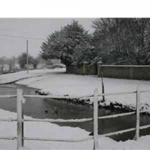 2008 March Church Ford