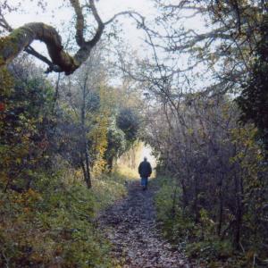 2008 September Dalham footpath321