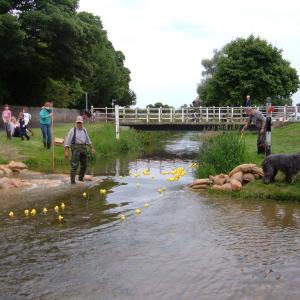 2008 preparing for the Gazeley Duck Race 2