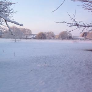 2009 Dec French Hall Meadow