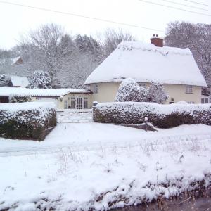 2009 Feb No23 Brookside