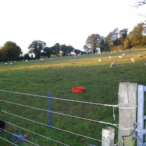 2010 16 10 Moulton Priory fields near Saint Peters