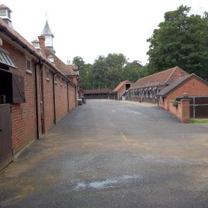 2011 12 06Warren Place Moulton SuffSir Henry Cecil op 8