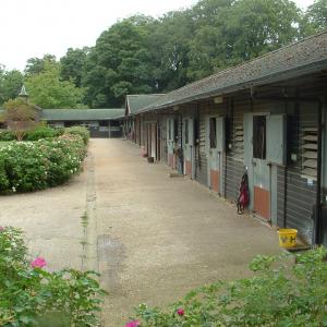 2011 Warren Placepart of Sir Henry Cecils stables 3
