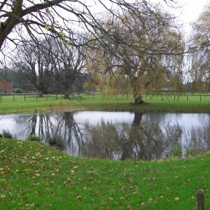 2012 01 12 Moulton French Hall Pond in Winter
