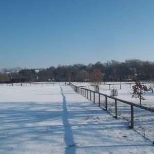 2012 03 02 MoultonSuff UK.