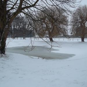 2012 05 02 French Hall pond 1