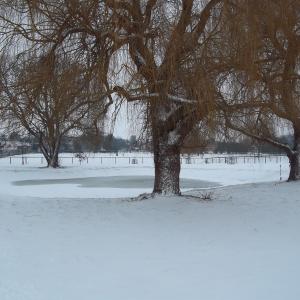 2012 05 02 French Hall pond