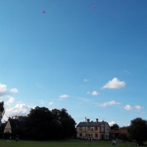 2012 22 09 Village Green Kite display part of Beer Fe 1