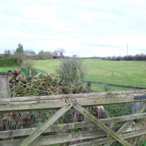 2013 07 12 Gazeley Rd Moulton View across meadows