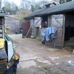 2013 17 02 Moulton Suffolk Griffiths Yard beside the Ga