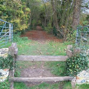 2013 22 11 Moulton Suff start of footpath Nos 6 7 2