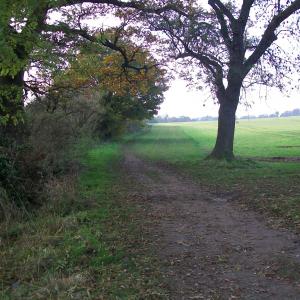 2013 27 11 Moulton Suffolk 1