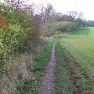 2013 27 11 Moulton Suffolk Dalham Parish footpath 10