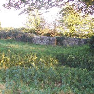 2014 01 11 Saint Peters old churchyard site of dipthera victims in front of the far wall