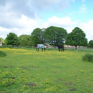 2014 09 05 scenes of Moulton 39