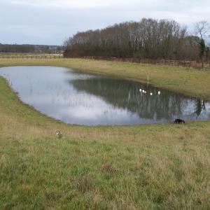 2014 14 09 Trinity Hall Farm Moulton Suff bottom reservoir