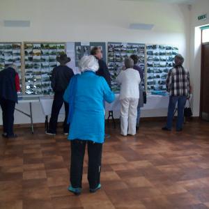 2014 25 05 Fun Day 6