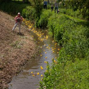 2014 25 05 Playing Field Moulton Fun day 11