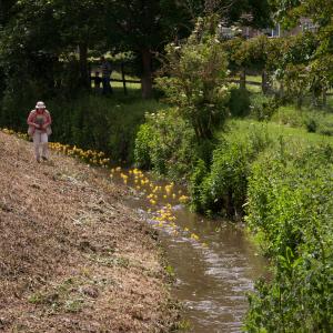 2014 25 05 Playing Field Moulton Fun day 7