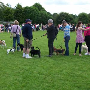 2014 25 05 Playing area Moulton Suffolk Fun Day 33
