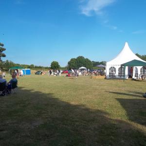 2015 04 07 Brookside the Church Meadow Rock in the Meadow 4
