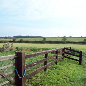 2015 10 10 Moulton River Kennett small bridge near Kennett Rd footpath 5