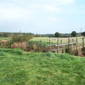 2015 10 10 footbridge near the Kennett Rd