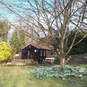 2015 13 04 Brookside Moulton snowdrops