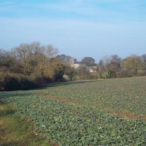 2015 21 03 church viewed from Dalham footpath