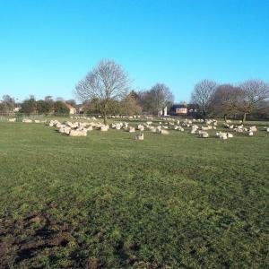 2015 22 03 French Hall Moulton