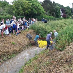 2016 06 16 Moulton Funday Duck race form the Little Bridge to Packhorse Bridge 1