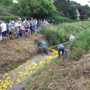 2016 06 16 Moulton Funday Duck race form the Little Bridge to Packhorse Bridge 2